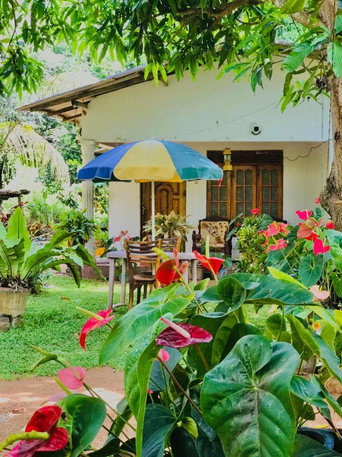 Sigiri Lakshan Home Stay 시기리야 외부 사진