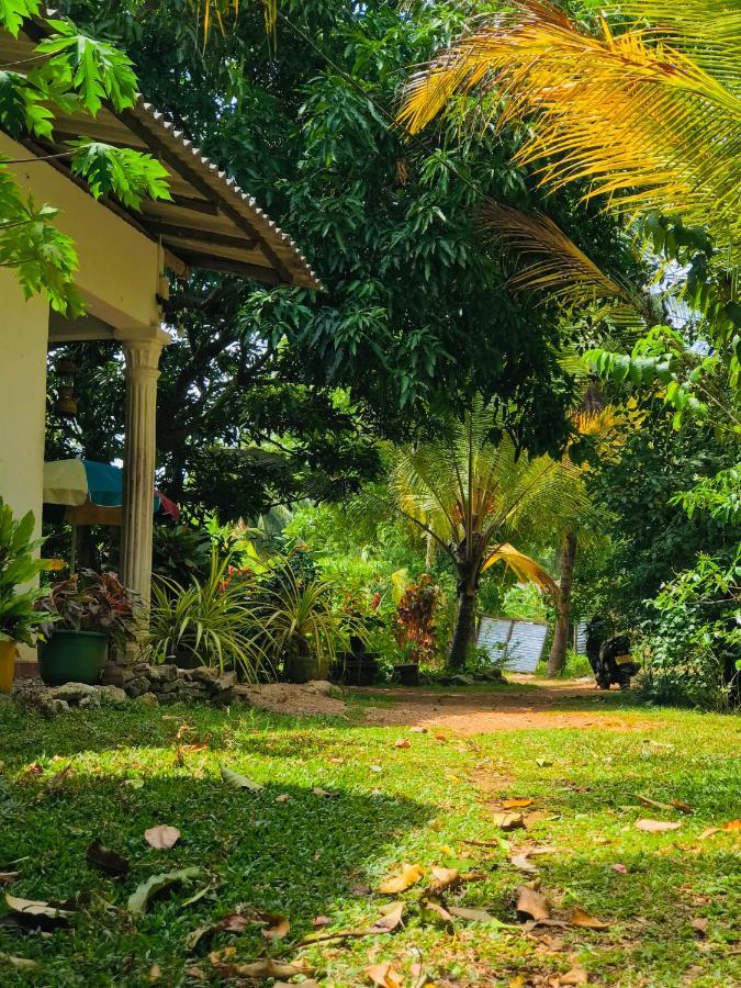 Sigiri Lakshan Home Stay 시기리야 외부 사진