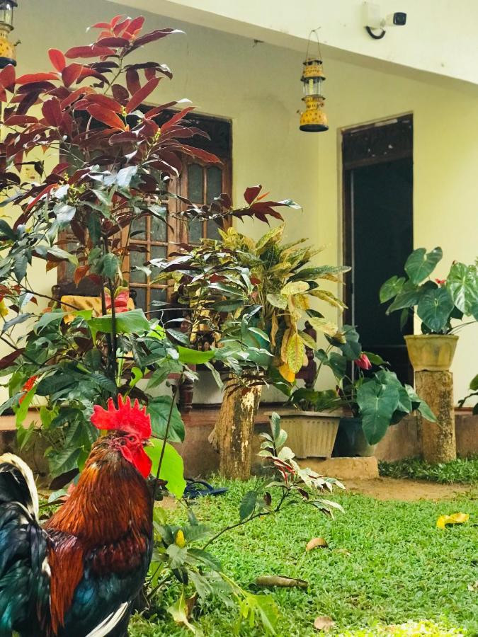 Sigiri Lakshan Home Stay 시기리야 외부 사진